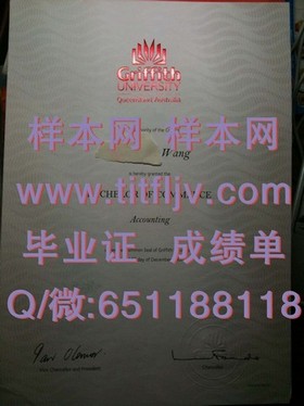 《荷兰伊拉斯姆斯大学学历证书解析：全球认可的硕士学位之旅》