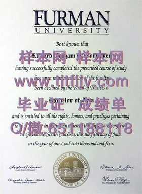 《荷兰伊拉斯姆斯大学：详解毕业证书含金量与全球认可度》