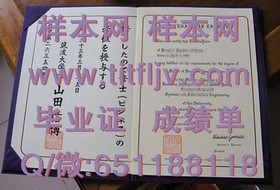 《波恩大学文凭解析：获取德国顶尖学府认证的独家攻略》