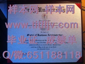 《荷兰伊拉斯姆斯大学学历认证：权威解析及获取指南》