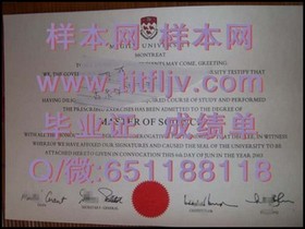 《波恩大学毕业证背后的价值：揭秘欧洲顶尖学府的学位含金量》