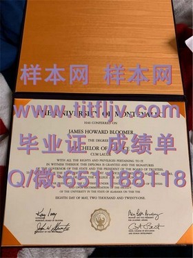 《西北密歇根学院毕业证背后的故事：揭秘真实学位价值与认可度》
