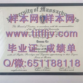 《荷兰伊拉斯姆斯大学证书：国际认可，开启全球就业新篇章》