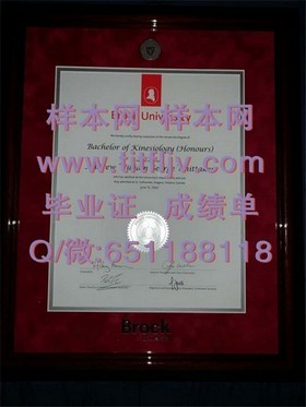 《西北密歇根学院毕业证详解：获取途径、含金量及国际认可度揭秘》