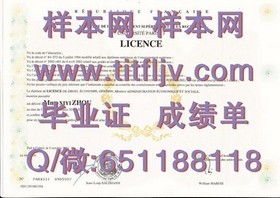 《波恩大学学位证书：全球认可的教育成就象征，揭秘真实含金量与申请攻略》