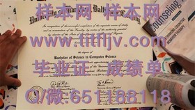 《荷兰伊拉斯姆斯大学证书解析：全球认可的教育成就凭证》