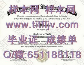 《荷兰伊拉斯姆斯大学学位证书解析：国际认可的精英教育凭证》