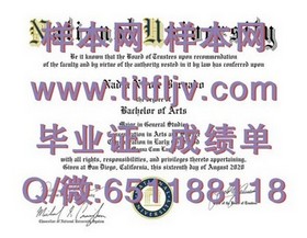 《荷兰伊拉斯姆斯大学文凭解析：国际认可，就业敲门砖》