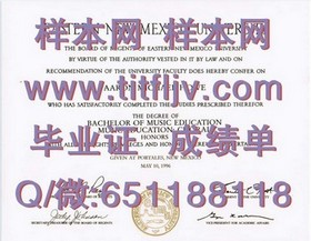 《波恩大学毕业证含金量揭秘：权威认证，成就未来职场敲门砖》