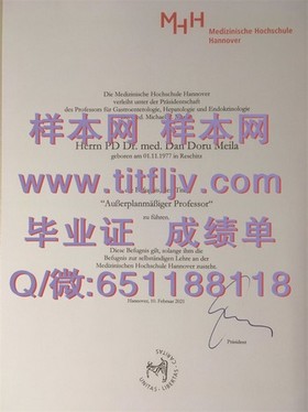 《荷兰伊拉斯姆斯大学：权威认证，国际认可的毕业证书解析与优势揭秘》