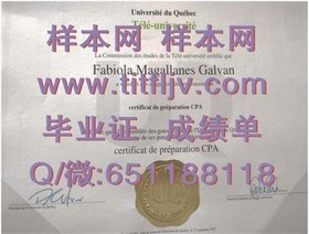 《波恩大学毕业证书解析：权威认证，开启全球学术之旅》