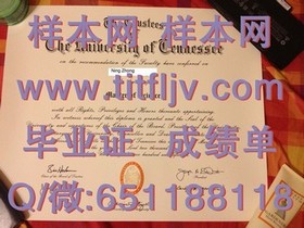《西北密歇根学院毕业证背后的故事：揭秘真实学位含金量与申请攻略》