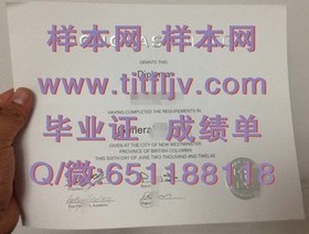 《荷兰伊拉斯姆斯大学学历证书解析：名校认证，职场竞争力提升之道》
