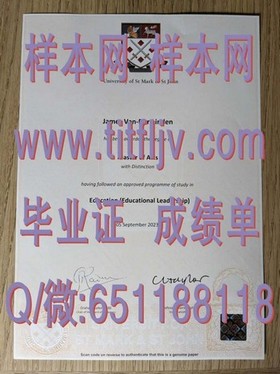 《波恩大学认证学位解析：如何获得真实且含金量高的毕业证》