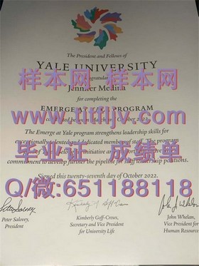 《波恩大学毕业证背后的荣耀：揭秘德国精英教育的真实面貌》
