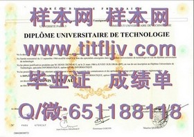 《西北密歇根学院毕业证书解析：详解真实学位含金量与申请流程》
