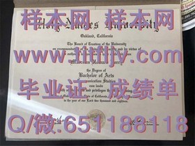 《荷兰伊拉斯姆斯大学：学位证书背后的国际精英教育之旅》