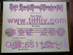《波恩大学毕业证背后的价值：详解德国精英学府的认证魅力》