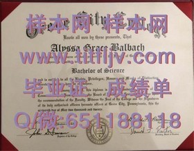《荷兰伊拉斯姆斯大学证书详解：全球认可，开启留学新篇章》