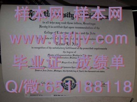 《滋贺大学文凭解析：深入了解日本名校的认证与价值》