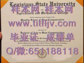 《乔治亚大学官方认证毕业证解析：学位证书背后的故事与价值》