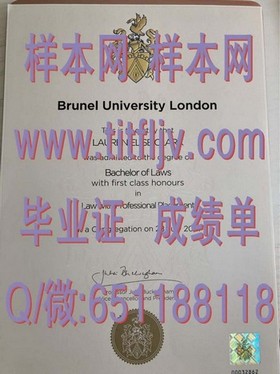 《荷兰伊拉斯姆斯大学：权威毕业证书，开启国际精英之路》
