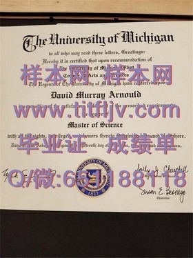《荷兰伊拉斯姆斯大学证书解析：全球认可的教育成就，你的留学证明指南》