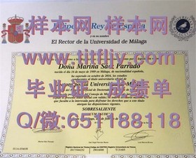 《荷兰伊拉斯姆斯大学学位证书解析：权威认证，留学就业的黄金钥匙》