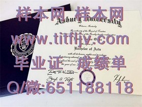 《波恩大学毕业证书：揭秘德国顶尖学府的荣誉与价值》