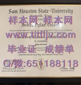 《荷兰伊拉斯姆斯大学文凭揭秘：全球认可的教育品质，你的留学新选择》