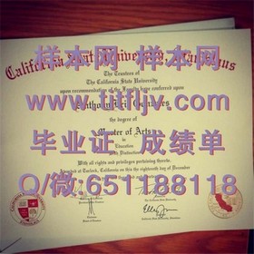 《波恩大学毕业证书背后的故事：揭秘名校学位的含金量与价值》