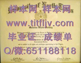 《波恩大学官方认证：如何获取真实的毕业证书与留学优势解析》