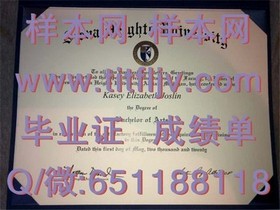 《荷兰伊拉斯姆斯大学证书解析：权威认证，留学回国就业的双重保障》