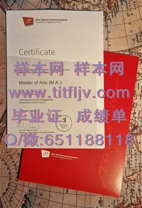 《波恩大学毕业证解析：全球认可背后的故事与价值揭秘》