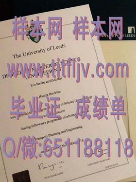 《波恩大学学位证书揭秘：全球精英的求学之路》