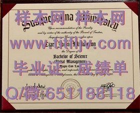 《波恩大学毕业证书：揭秘真实含金量与申请攻略》