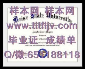 《荷兰伊拉斯姆斯大学毕业证详解：权威认证，国际认可度解析》