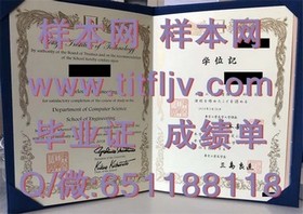 《荷兰伊拉斯姆斯大学学位证书揭秘：全球认可的精英教育凭证》