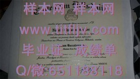 《新南威尔士大学官方毕业证解读：掌握证书背后的价值与意义》