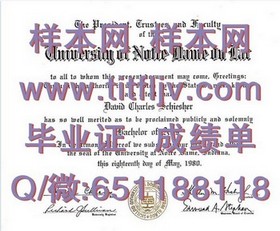 《久留米大学学历认证攻略：如何获取真实的毕业证书与求职加分》