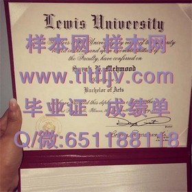 《荷兰伊拉斯姆斯大学证书揭秘：国际认可与就业优势一览》