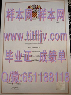 《荷兰蒂尔堡大学官方认证：揭秘真实毕业证含金量与求职优势》