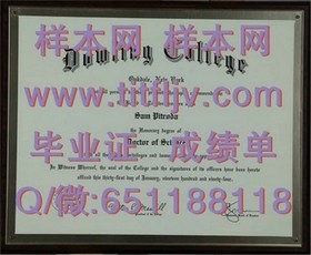 《埃塞克斯大学官方认证：揭秘真实毕业证书样本及获取途径》