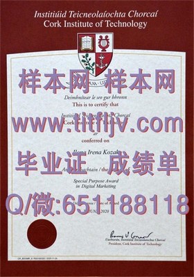 《解锁国际视野：揭秘三重大学毕业证含金量，留学归来就业优势一览》