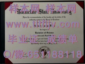 《西北密歇根学院毕业证解析：揭秘真实学位含金量与求职优势》