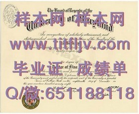 “解锁国际视野：揭秘图卢兹第三大学文凭的含金量与求职优势”