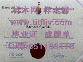 《阿拉巴马大学文凭解析：真实学位背后的故事与价值》