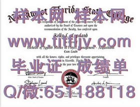 《揭秘伊利诺斯理工学院毕业证含金量：名校学位背后的职业优势解析》