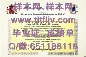 《波恩大学毕业证背后的价值揭秘：如何证明你的国际学术成就？》