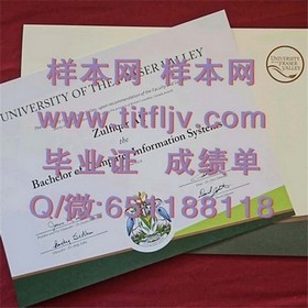 《波恩大学证书攻略：如何获得这份国际认可的毕业凭证？》